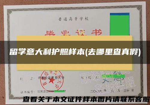 留学意大利护照样本(去哪里查真假)