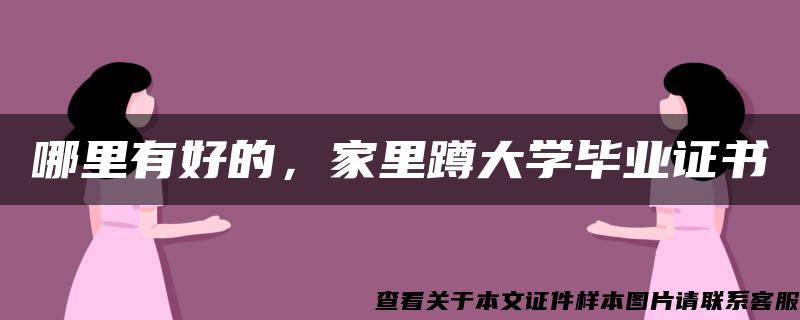 哪里有好的，家里蹲大学毕业证书