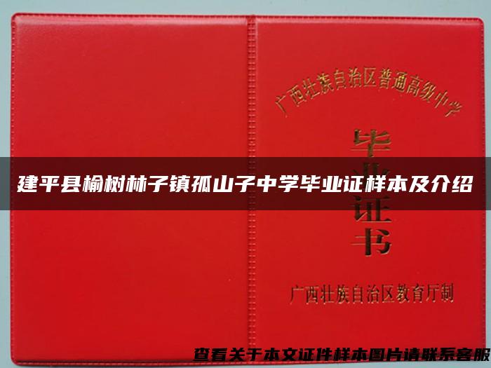 建平县榆树林子镇孤山子中学毕业证样本及介绍