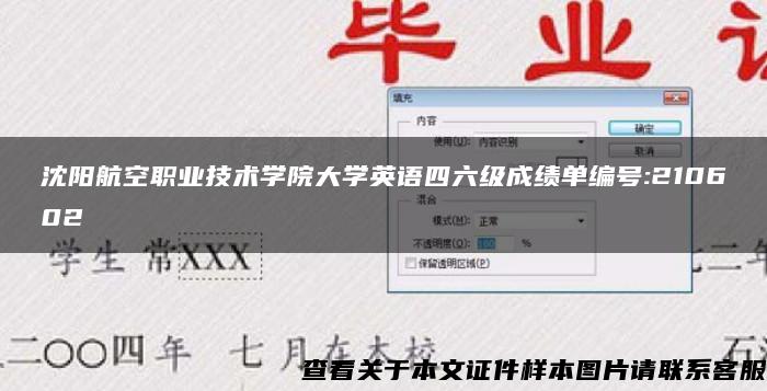 沈阳航空职业技术学院大学英语四六级成绩单编号:210602