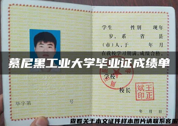 慕尼黑工业大学毕业证成绩单