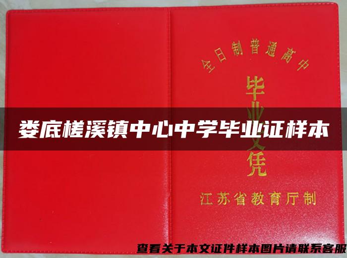 娄底槎溪镇中心中学毕业证样本