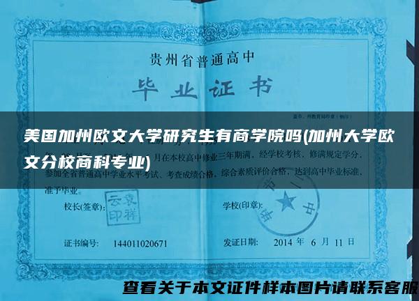 美国加州欧文大学研究生有商学院吗(加州大学欧文分校商科专业)