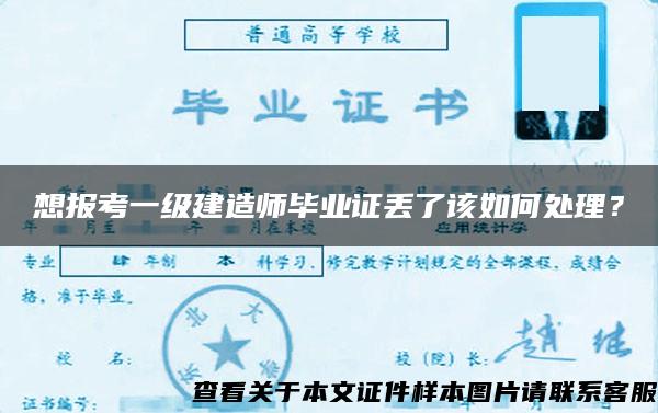 想报考一级建造师毕业证丢了该如何处理？