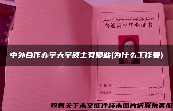 中外合作办学大学硕士有哪些(为什么工作要)