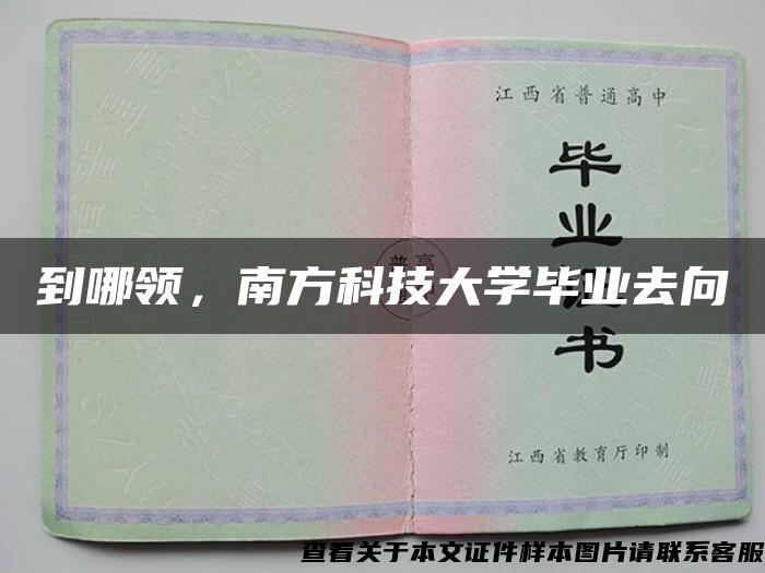 到哪领，南方科技大学毕业去向