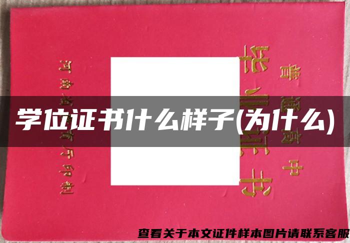 学位证书什么样子(为什么)