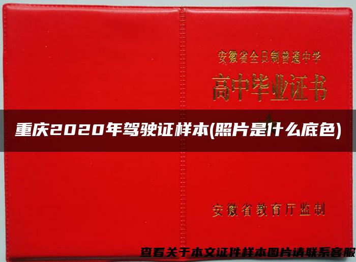 重庆2020年驾驶证样本(照片是什么底色)