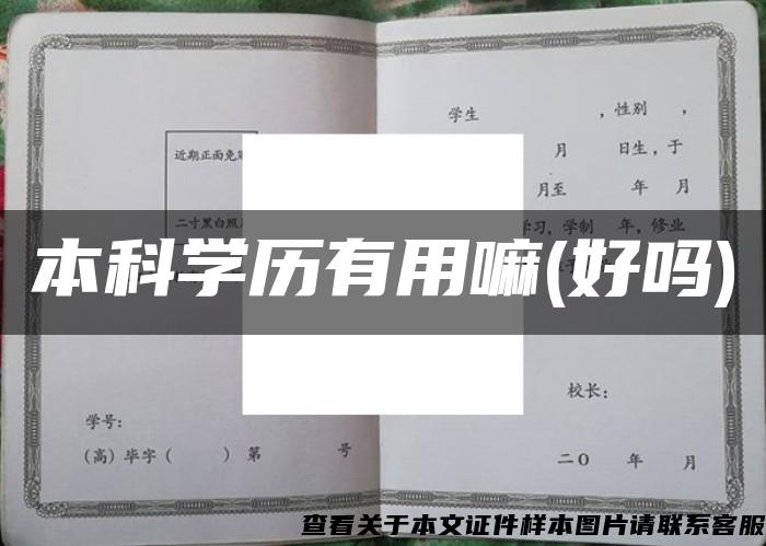 本科学历有用嘛(好吗)