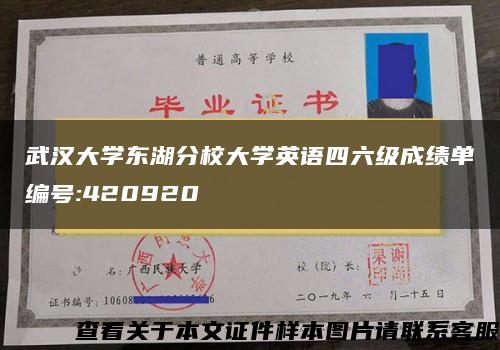 武汉大学东湖分校大学英语四六级成绩单编号:420920