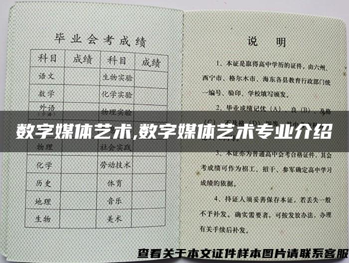 数字媒体艺术,数字媒体艺术专业介绍