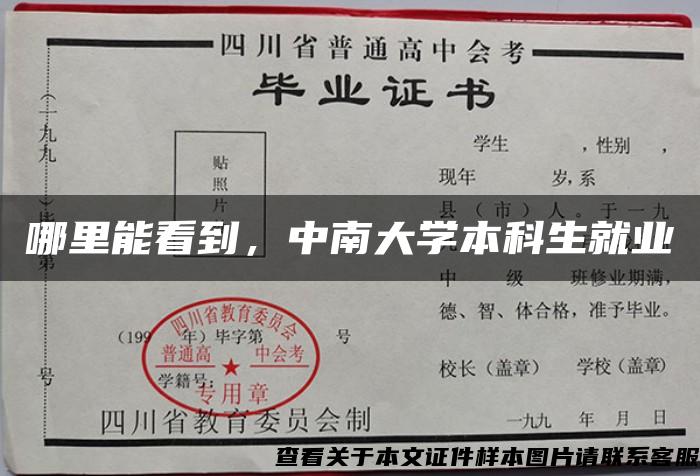 哪里能看到，中南大学本科生就业