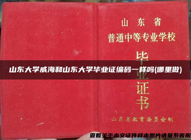 山东大学威海和山东大学毕业证编码一样吗(哪里做)