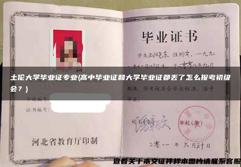 土伦大学毕业证专业(高中毕业证和大学毕业证都丢了怎么报考初级会？)