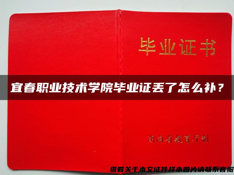 宜春职业技术学院毕业证丢了怎么补？