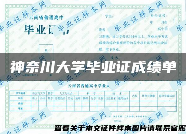 神奈川大学毕业证成绩单