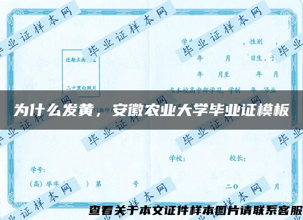 为什么发黄，安徽农业大学毕业证模板