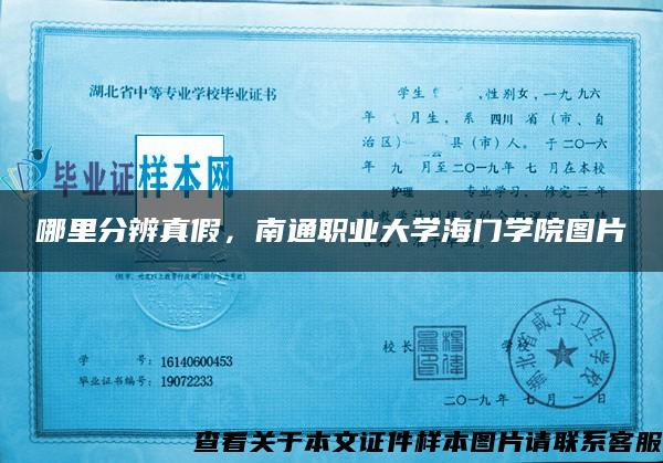 哪里分辨真假，南通职业大学海门学院图片