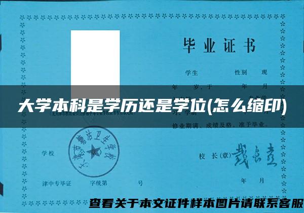 大学本科是学历还是学位(怎么缩印)