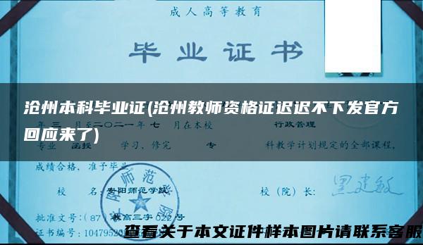 沧州本科毕业证(沧州教师资格证迟迟不下发官方回应来了)