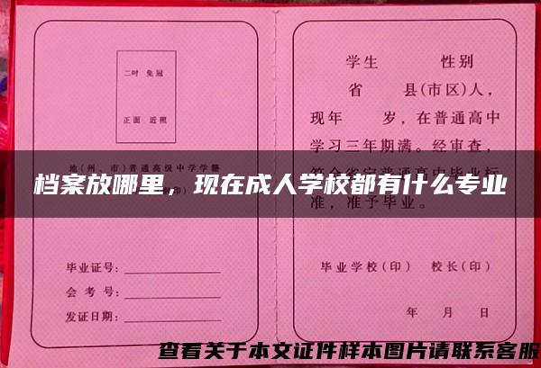 档案放哪里，现在成人学校都有什么专业