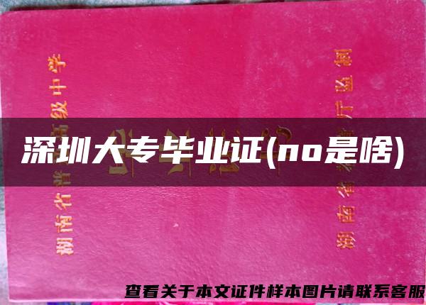 深圳大专毕业证(no是啥)