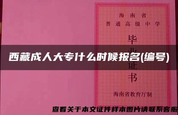 西藏成人大专什么时候报名(编号)