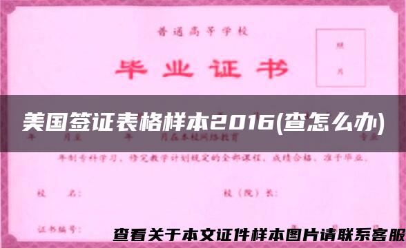 美国签证表格样本2016(查怎么办)