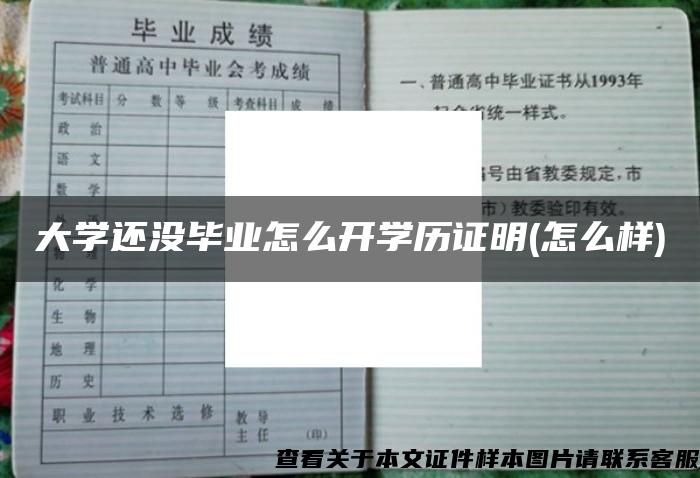 大学还没毕业怎么开学历证明(怎么样)