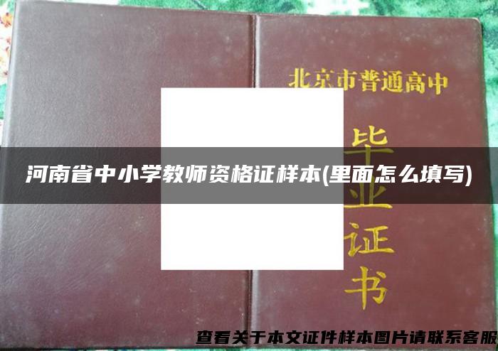 河南省中小学教师资格证样本(里面怎么填写)