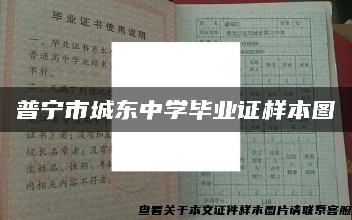 普宁市城东中学毕业证样本图