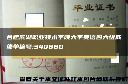 合肥滨湖职业技术学院大学英语四六级成绩单编号:340880