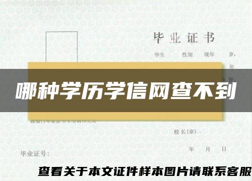 哪种学历学信网查不到