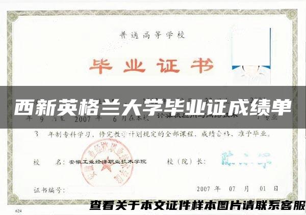 西新英格兰大学毕业证成绩单