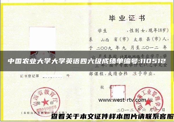 中国农业大学大学英语四六级成绩单编号:110512