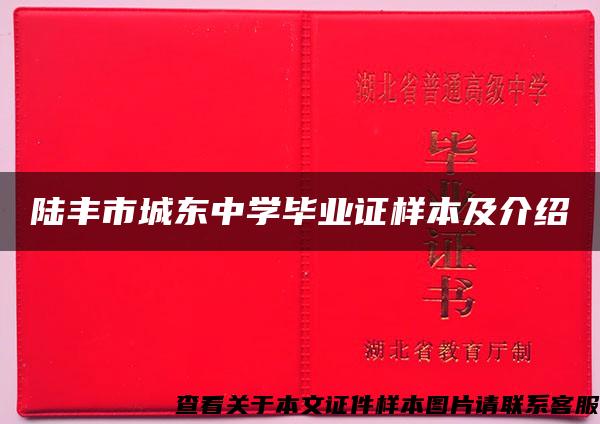 陆丰市城东中学毕业证样本及介绍