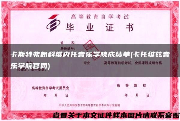 卡斯特弗朗科维内托音乐学院成绩单(卡托维兹音乐学院官网)