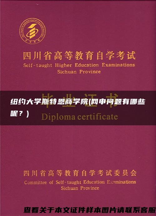 纽约大学斯特恩商学院(网申问题有哪些呢？)