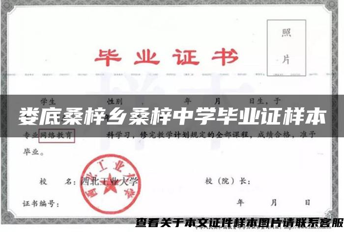 娄底桑梓乡桑梓中学毕业证样本