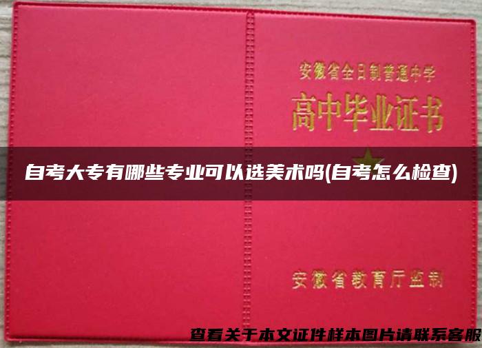 自考大专有哪些专业可以选美术吗(自考怎么检查)