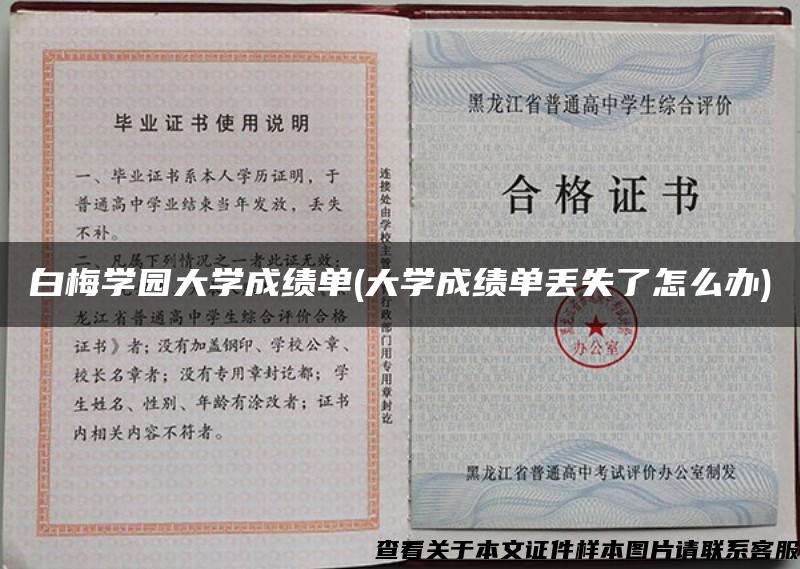 白梅学园大学成绩单(大学成绩单丢失了怎么办)