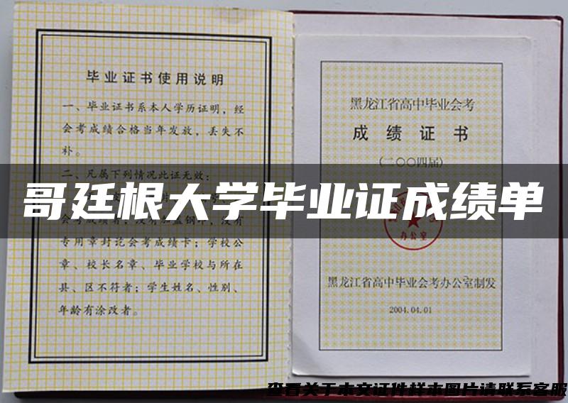 哥廷根大学毕业证成绩单