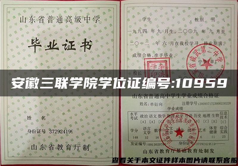 安徽三联学院学位证编号:10959