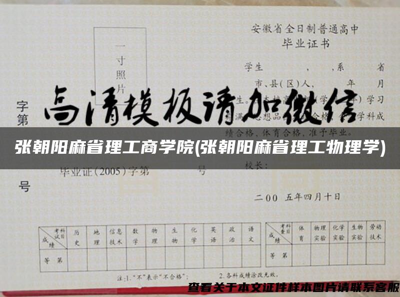 张朝阳麻省理工商学院(张朝阳麻省理工物理学)