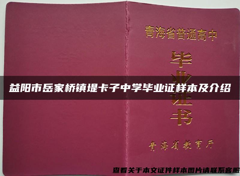 益阳市岳家桥镇堤卡子中学毕业证样本及介绍