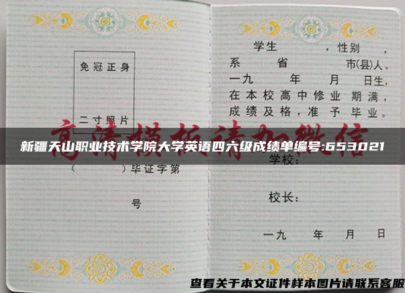 新疆天山职业技术学院大学英语四六级成绩单编号:653021