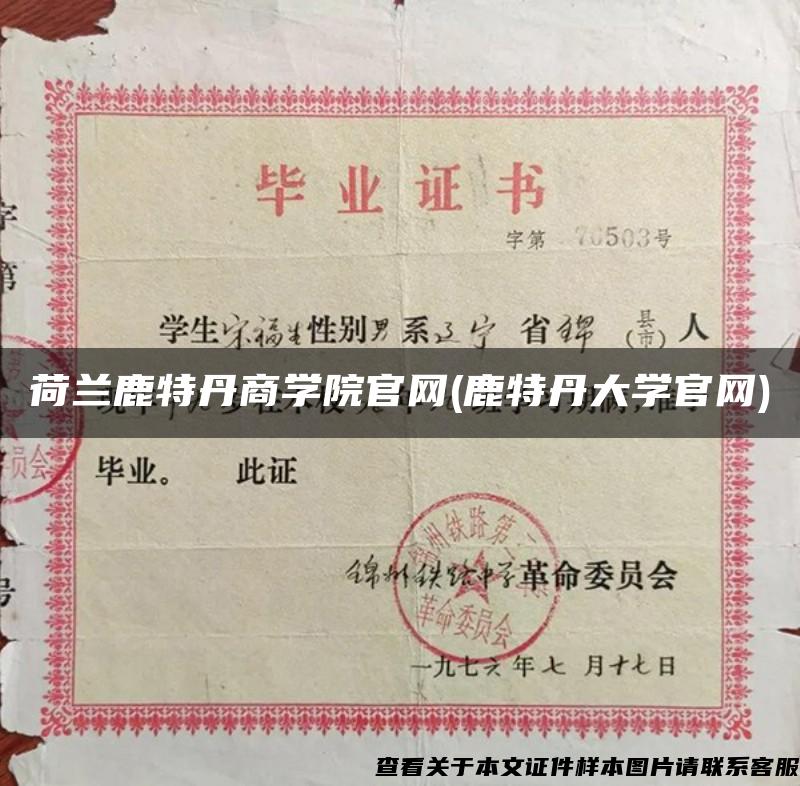 荷兰鹿特丹商学院官网(鹿特丹大学官网)