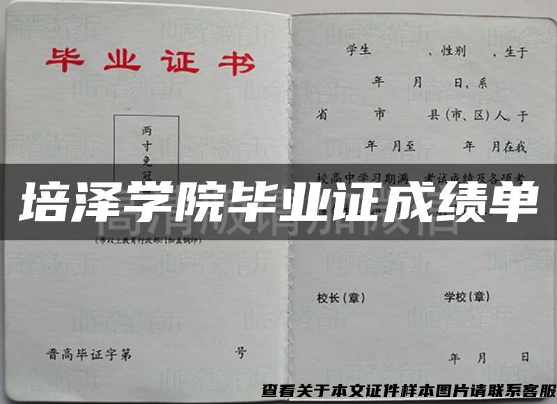 培泽学院毕业证成绩单