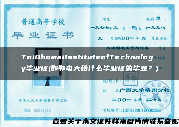 ToiOhomaiInstituteofTechnology毕业证(邯郸电大给什么毕业证的毕业？)