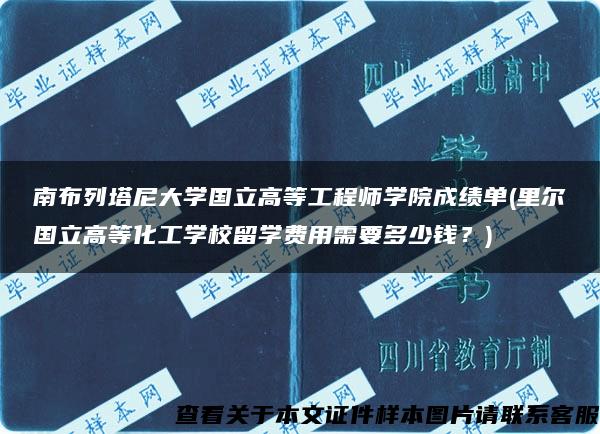 南布列塔尼大学国立高等工程师学院成绩单(里尔国立高等化工学校留学费用需要多少钱？)